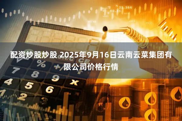 配资炒股炒股 2025年9月16日云南云菜集团有限公司价格行情