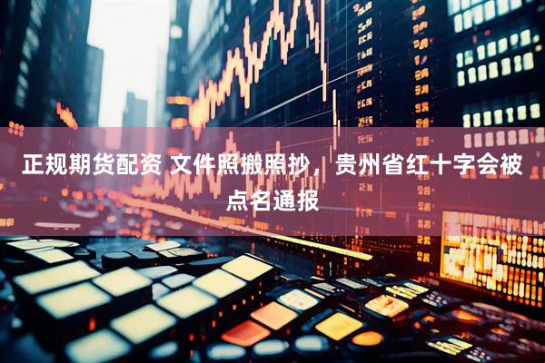 正规期货配资 文件照搬照抄，贵州省红十字会被点名通报