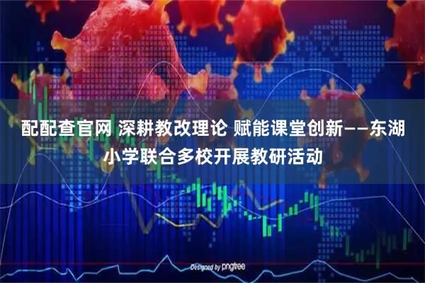 配配查官网 深耕教改理论 赋能课堂创新——东湖小学联合多校开展教研活动