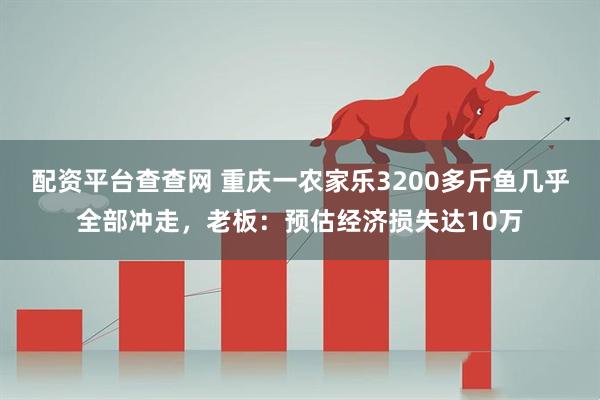 配资平台查查网 重庆一农家乐3200多斤鱼几乎全部冲走，老板：预估经济损失达10万